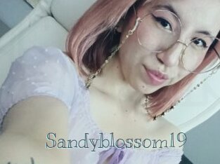 Sandyblossom19