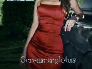 Screaminglotus