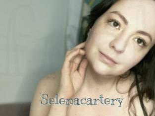 Selenacartery
