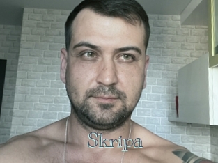 Skripa