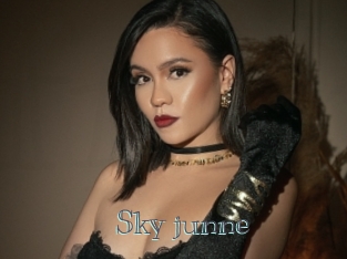 Sky_junne