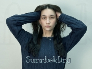 Sunnbelding
