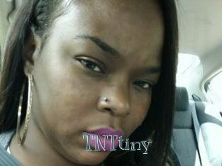 T_N_Ttiny