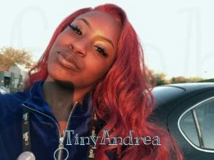 TinyAndrea