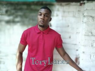 ToryLanez