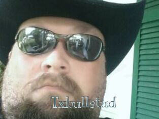 Txbullstud