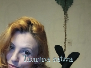 Taurina_sativa