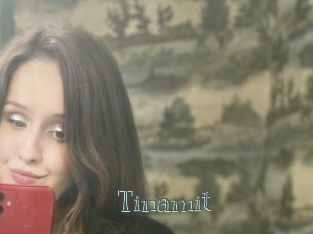 Tinamit