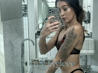 Tiny_taylorr