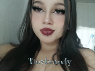 Tinybrandy