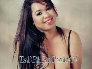 TsDREAMhalo01
