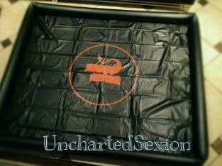 UnchartedSexion