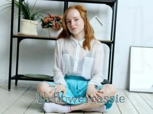 Urflowercassie