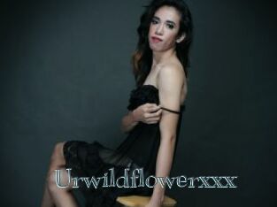 Urwildflowerxxx