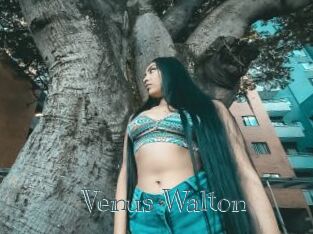 Venus_Walton