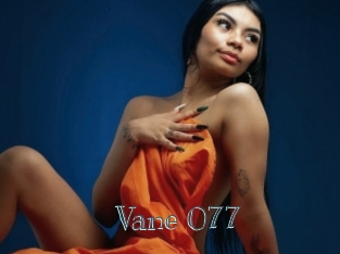 Vane_077