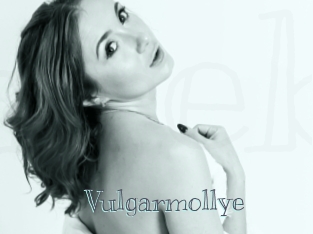Vulgarmollye
