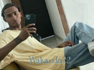 Wakanda22