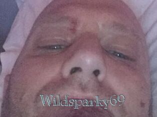 Wildsparky69