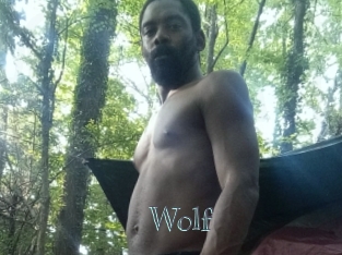 Wolf