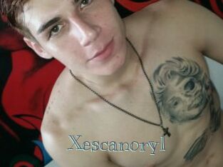 Xescanory1