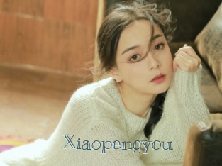 Xiaopengyou