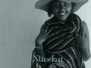 Xtinekui