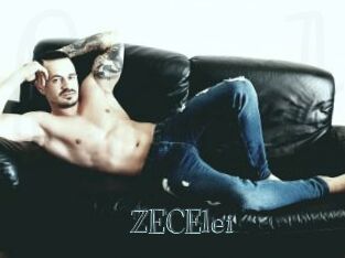 ZECElei
